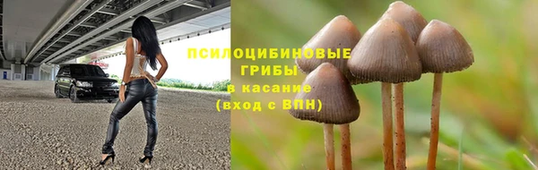 apvp Лиски