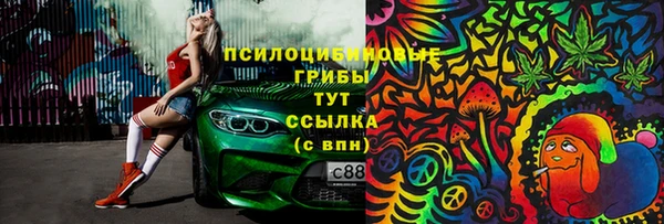 apvp Лиски