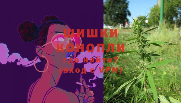 СК Липки